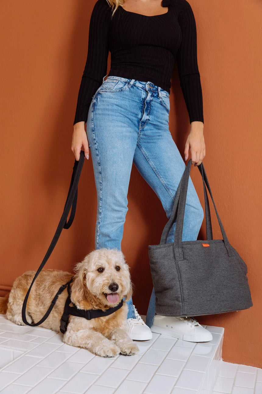 MOLLY&STITCH Alpine Hundetasche