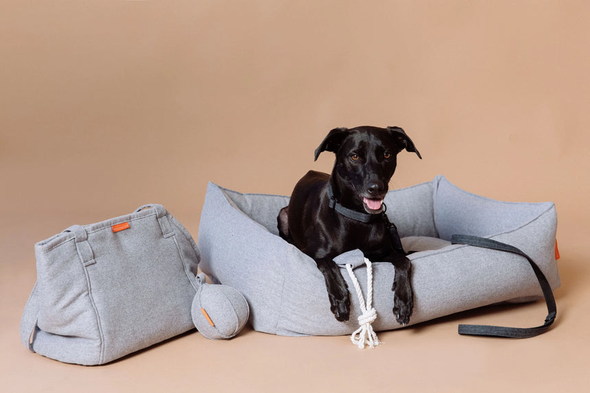 MOLLY&STITCH Alpine Hundetasche