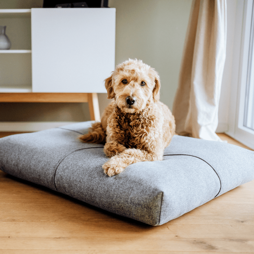 LABBVENN Hundebetten LABBVENN Hundebett FINNO
