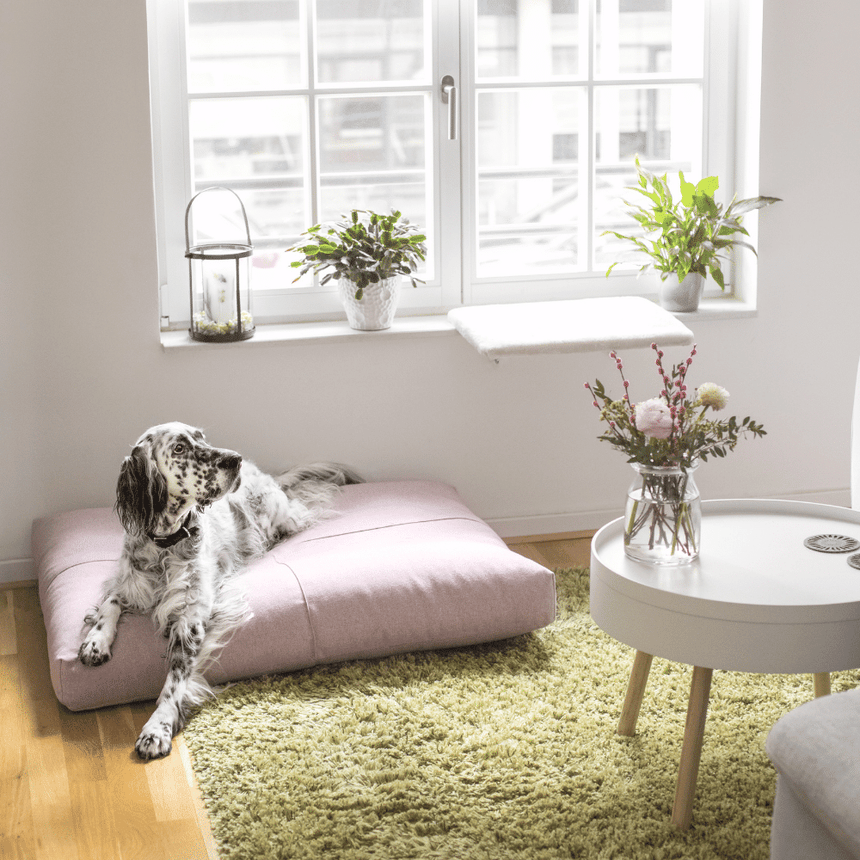 LABBVENN Hundebetten LABBVENN Hundebett FINNO