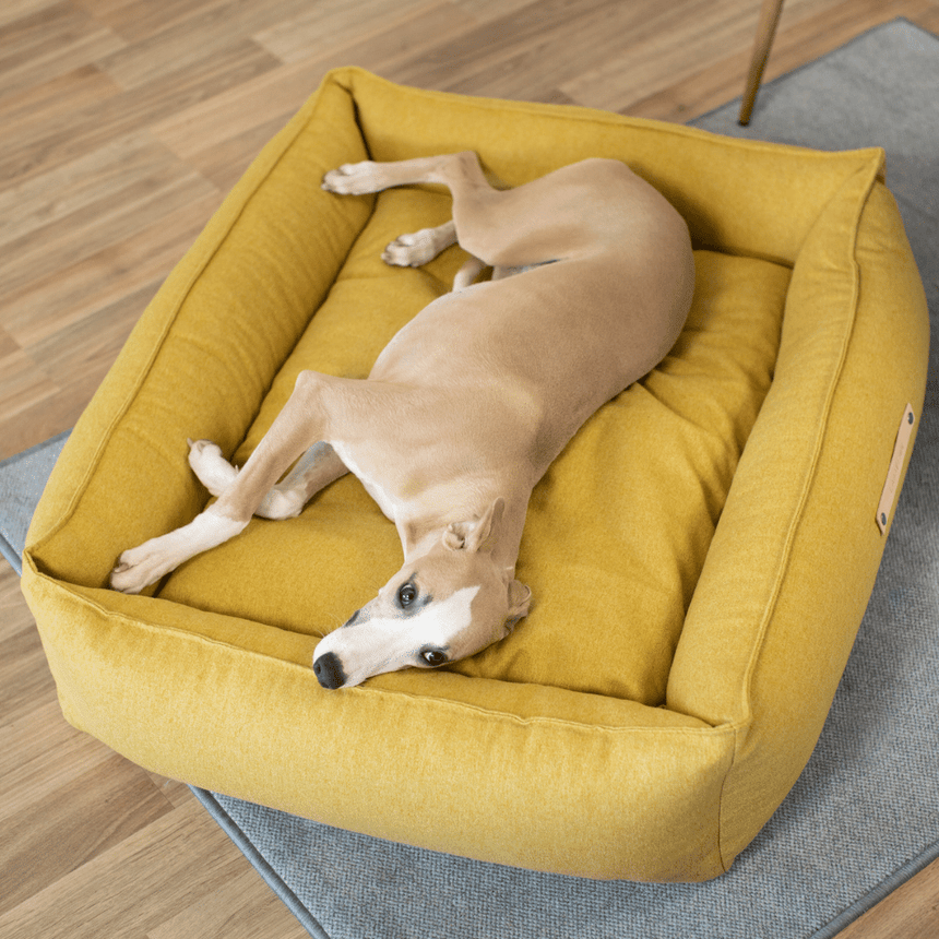 LABBVENN Hundebetten LABBVENN Hundebett MØVIK