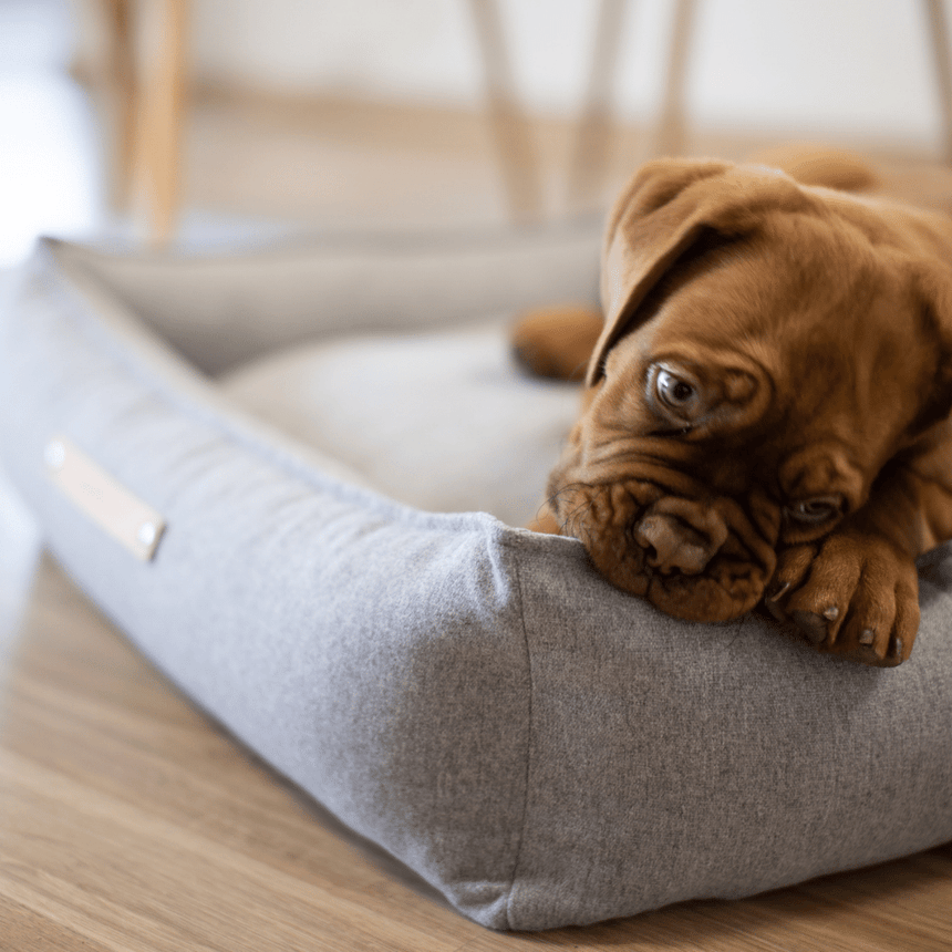 LABBVENN Hundebetten LABBVENN Hundebett MØVIK