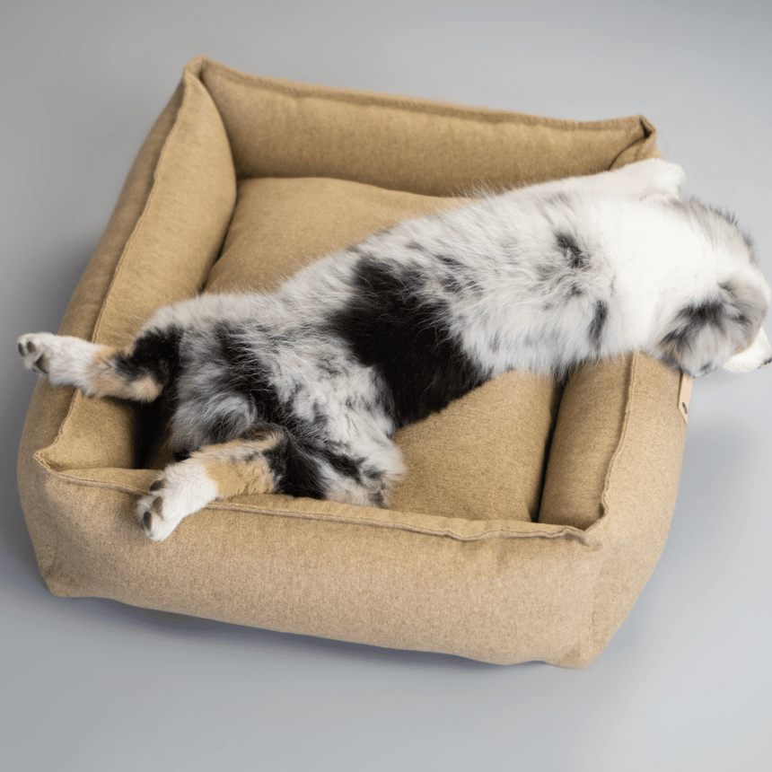 LABBVENN Hundebetten LABBVENN Hundebett MØVIK
