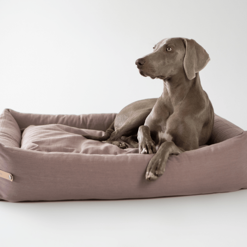 LABBVENN Hundebetten LABBVENN Hundebett STOKKE