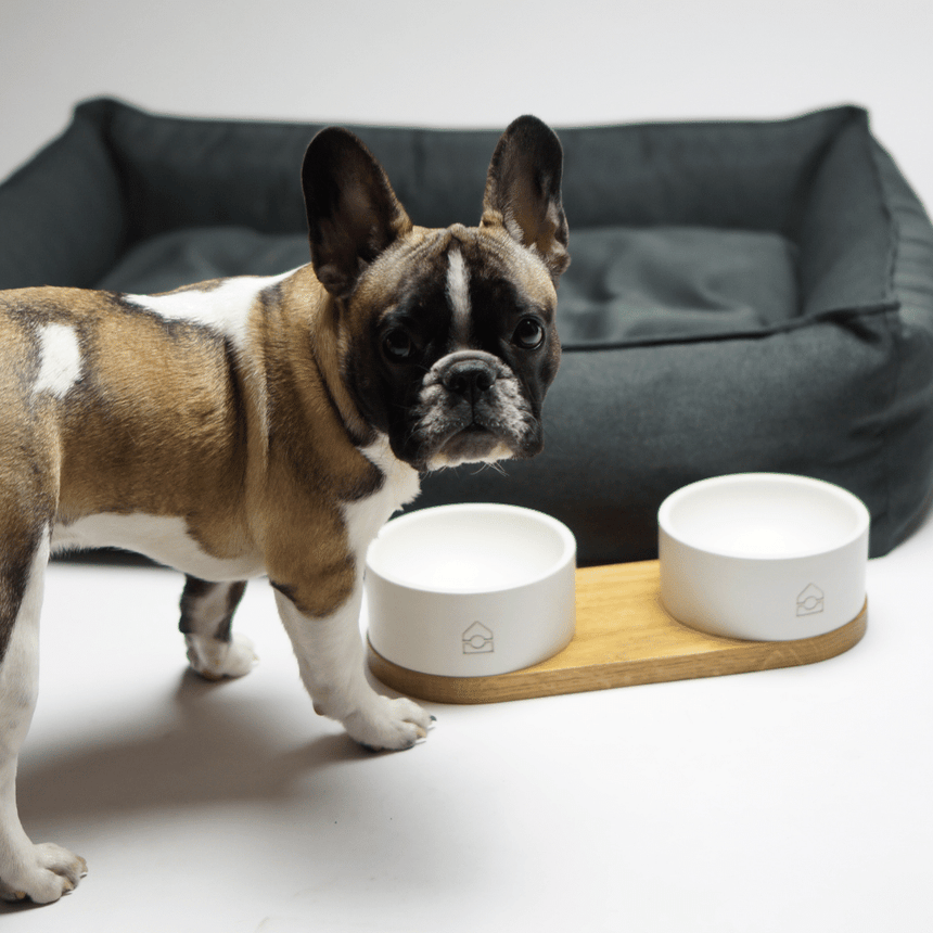 LABBVENN Hundebetten LABBVENN Hundebett TÖVE
