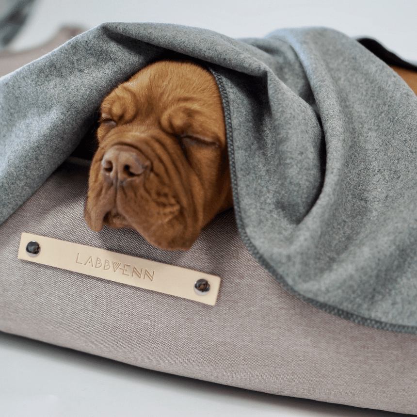 LABBVENN Hundedecke LABBVENN Hundedecke ÅSNEN