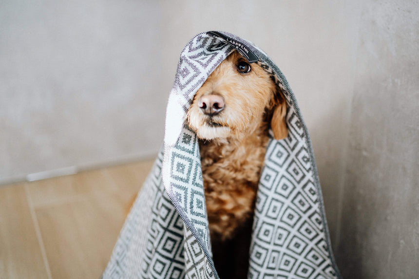 LABBVENN Hundehandtuch LABBVENN Handtuch LINAA