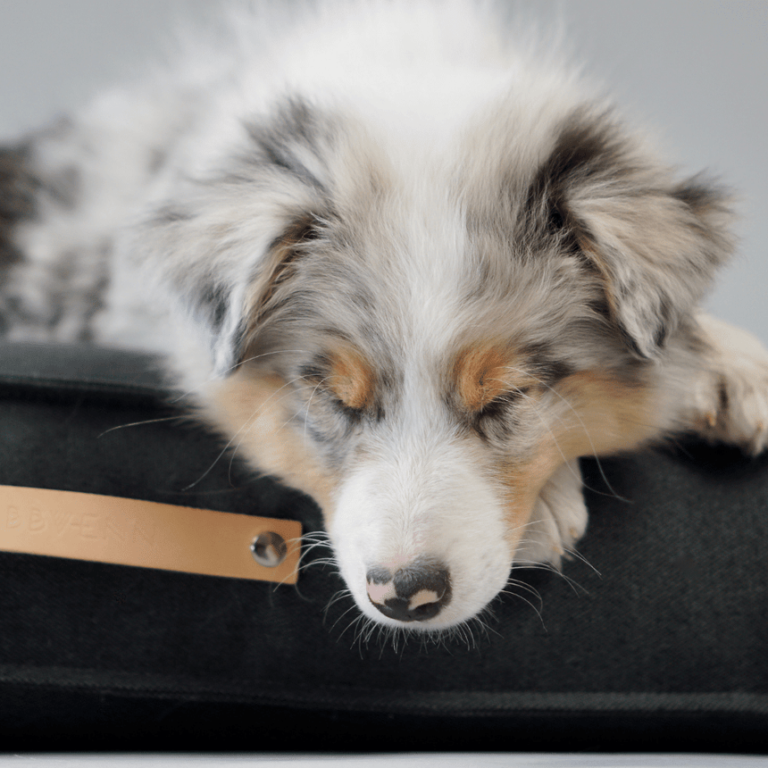 LABBVENN Hundekissen LABBVENN Hundekissen TÖVE