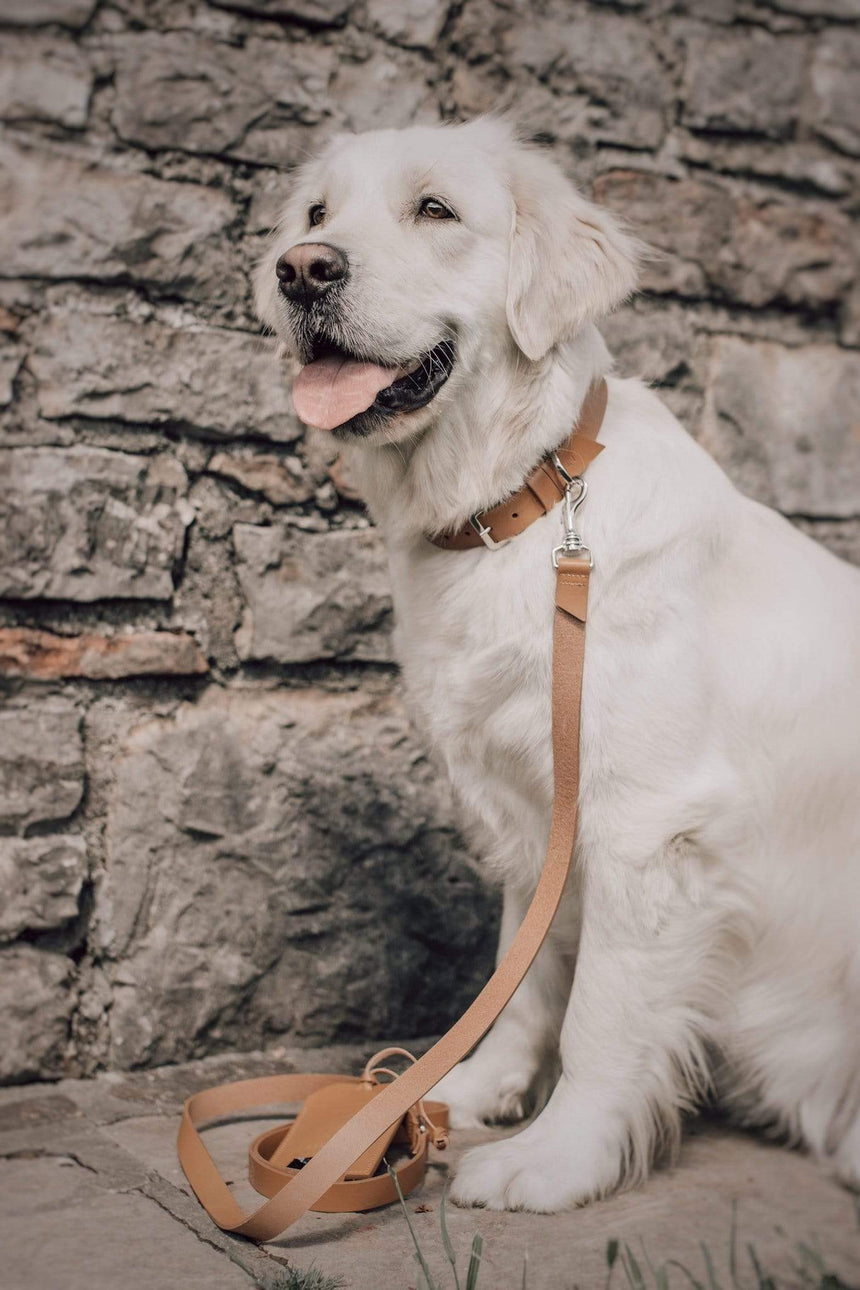 LABBVENN Hundelederleine LABBVENN Hundehalsband KOLLU