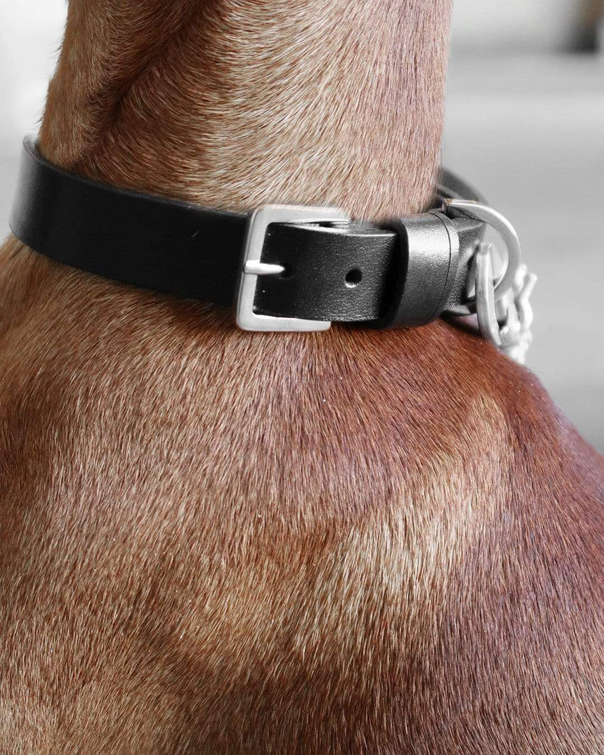 LABBVENN Hundelederleine LABBVENN Hundehalsband KOLLU