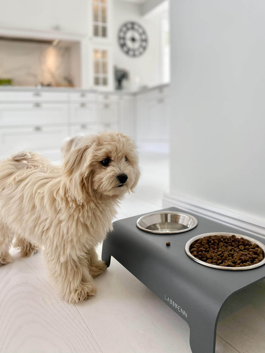 LABBVENN Hundenapfständer LABBVENN Hundebar RICO