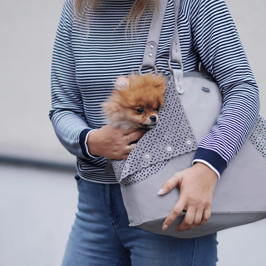 LABBVENN Hundetragetasche LABBVENN Tasche ELVA