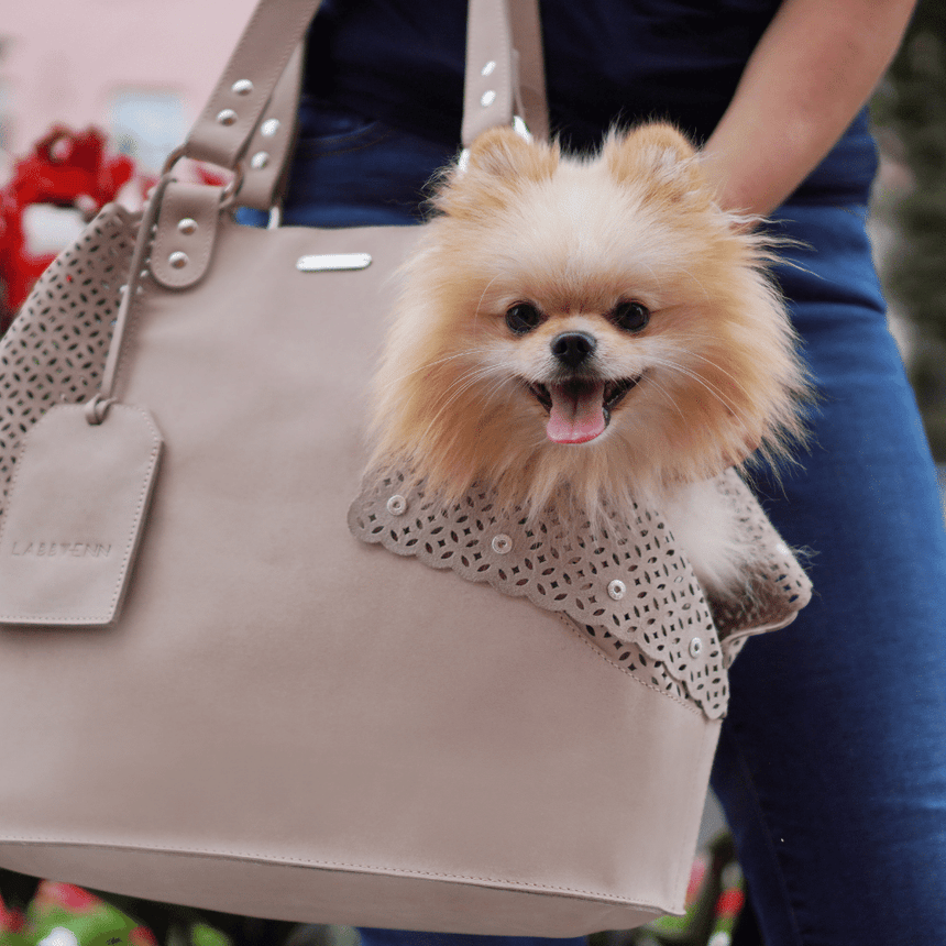 LABBVENN Hundetragetasche LABBVENN Tasche ELVA