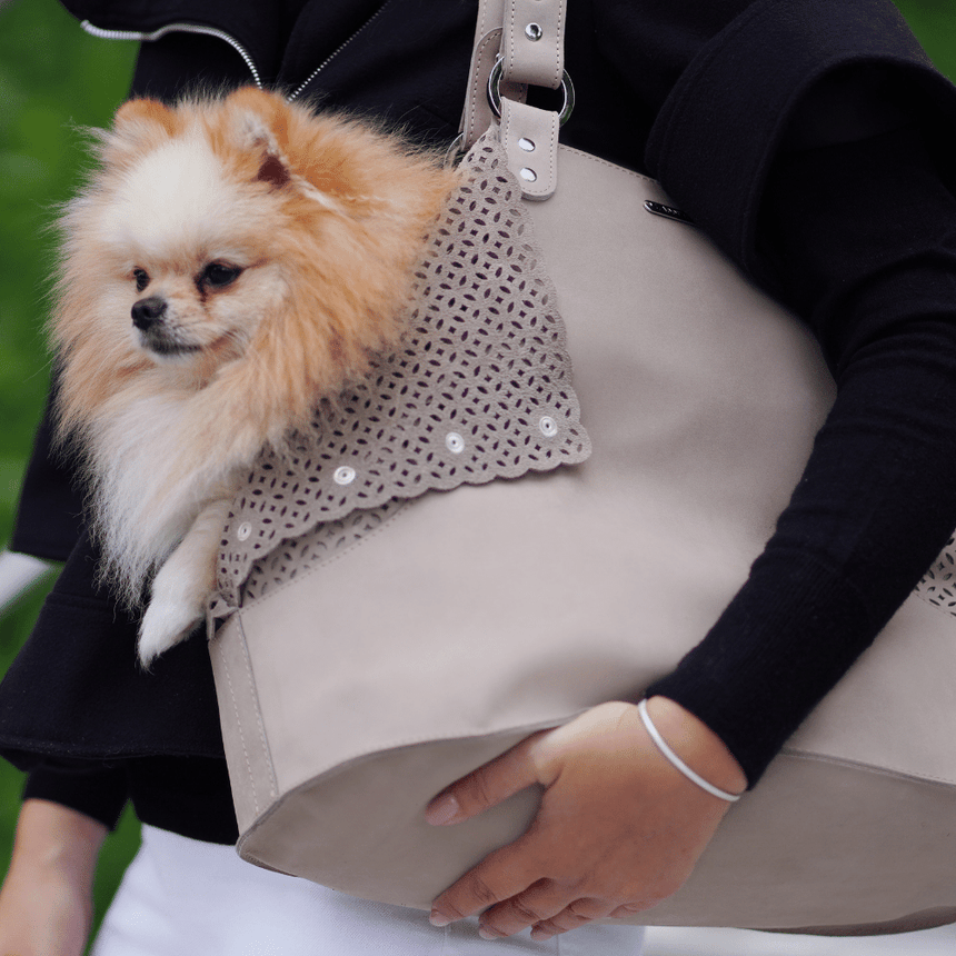 LABBVENN Hundetragetasche LABBVENN Tasche ELVA