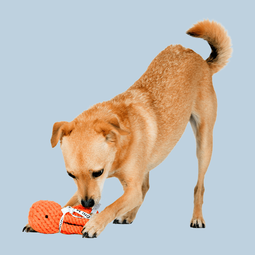 LABONI Hundespielzeug LABONI Thaddäus Tintenfisch Kauspielzeug