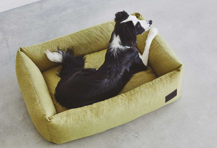 MiaCara Hundebett MiaCara Box-Bett Divo