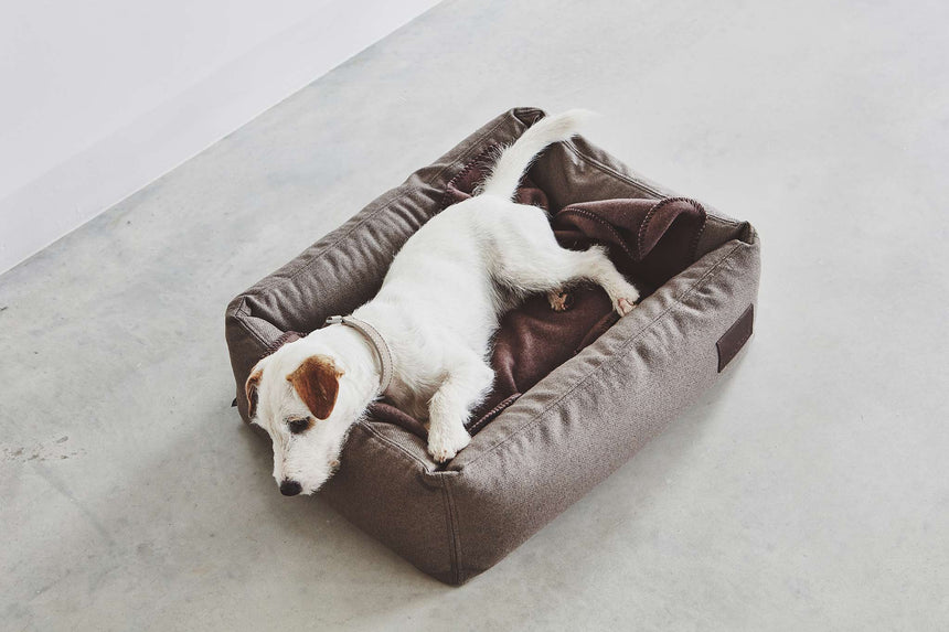 MiaCara Hundebett MiaCara Box-Bett Divo