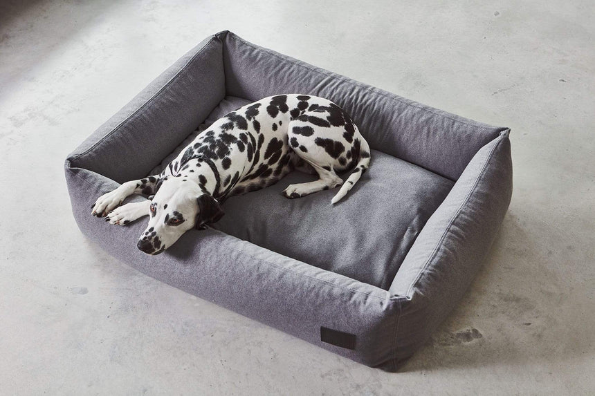 MiaCara Hundebett MiaCara Box-Bett Divo