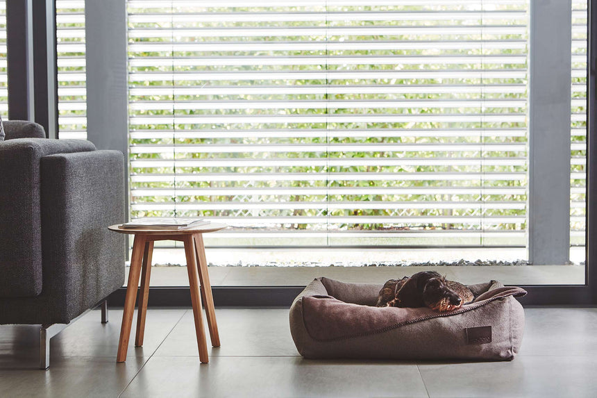 MiaCara Hundebett MiaCara Box-Bett Divo