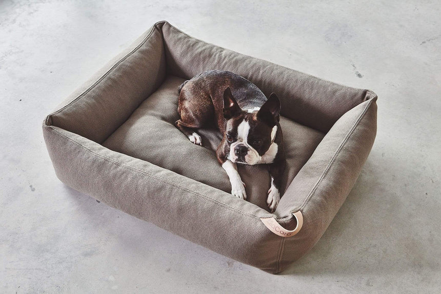 MiaCara Hundebett MiaCara Box-Bett Sonno