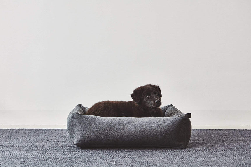 MiaCara Hundebett MiaCara Box-Bett Stella