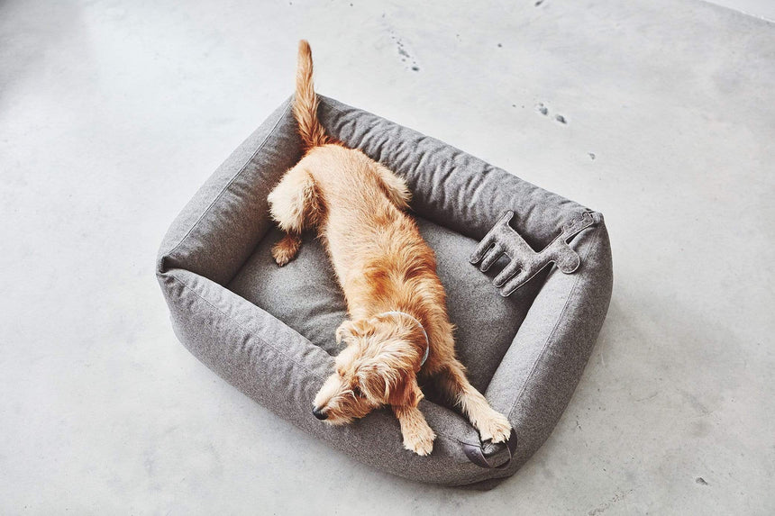 MiaCara Hundebett MiaCara Box-Bett Stella
