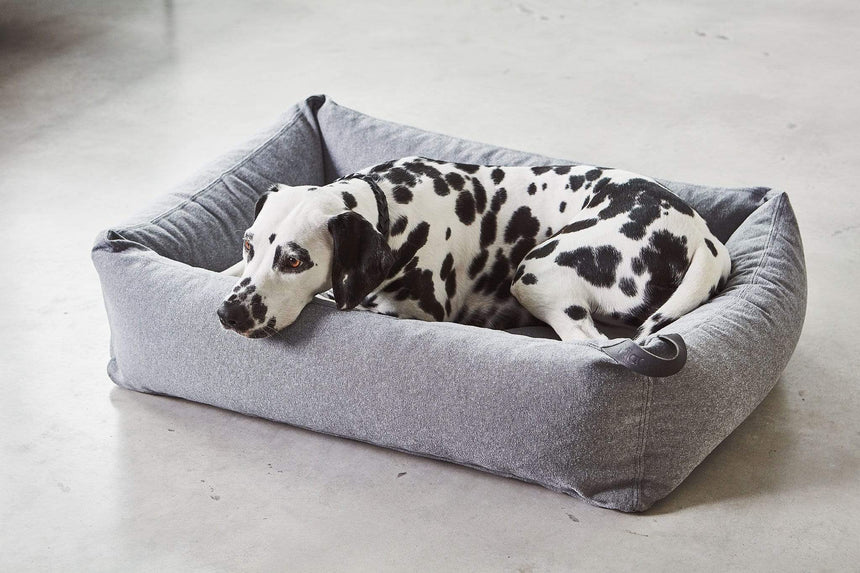 MiaCara Hundebett MiaCara Box-Bett Stella