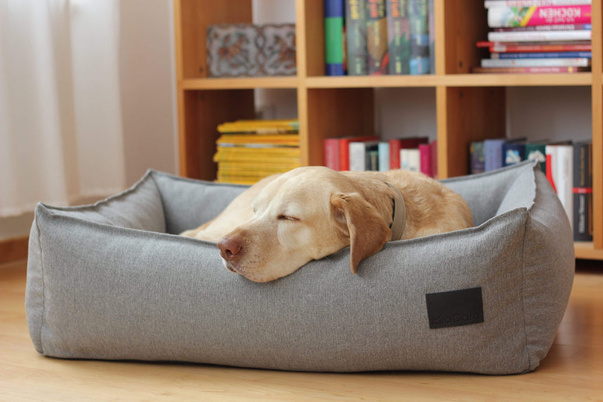 MiaCara Hundebett MiaCara Hundebett Nube