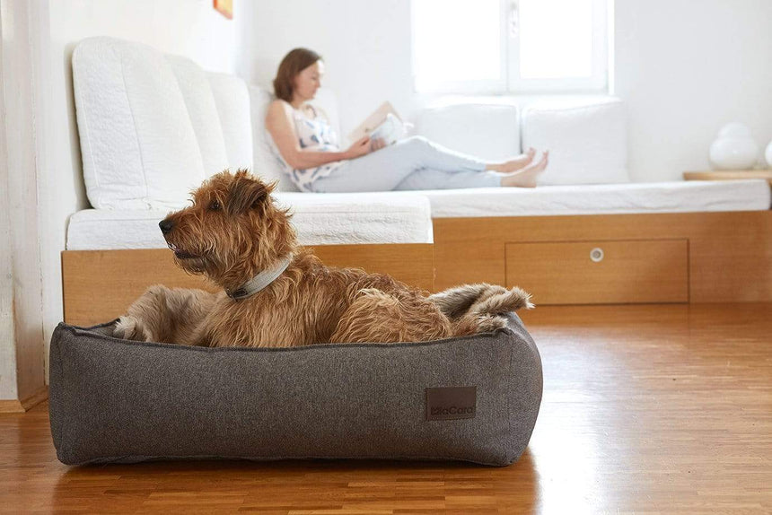 MiaCara Hundebett MiaCara Hundebett Nube