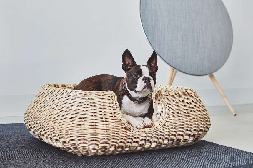 MiaCara Hundehalsband MiaCara Bergamo Halsband
