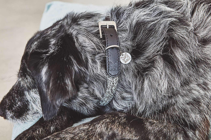 MiaCara Hundehalsband MiaCara Lucca Halsband