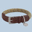 MiaCara Hundehalsband S / Seil: Senape | Leder: Braun MiaCara Lucca Halsband