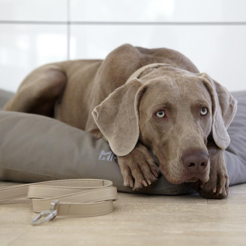 MiaCara Hundekissen für Innen und Außen MiaCara Hundekissen Luvio