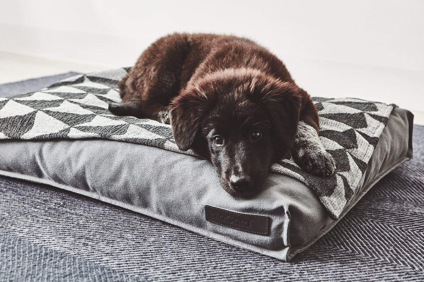 MiaCara Hundekissen MiaCara Hundekissen Stella