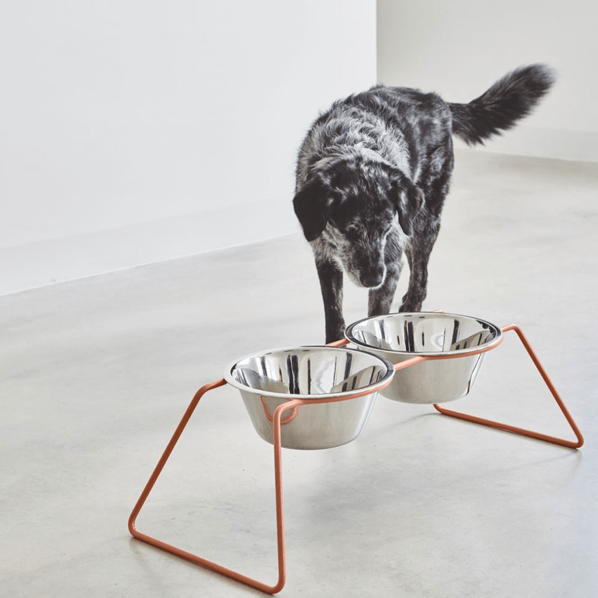 MiaCara Hundenapfständer MiaCara Napfständer Cena