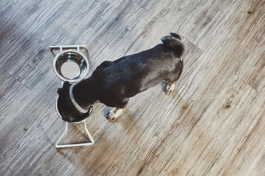 MiaCara Hundenapfständer MiaCara Napfständer Cena