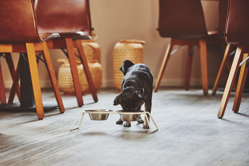 MiaCara Hundenapfständer MiaCara Napfständer Cena