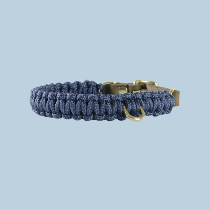 Molly & Stitch Hundehalsband Tau XS | 24cm-28cm | 1,2cm Breite / Gold MOLLY&STITCH "TOUCH OF LEATHER" HUNDEHALSBAND NAVY