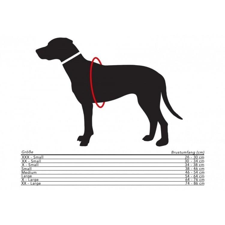 Molly & Stitch Hundeledergeschirr MOLLY&STITCH "BUTTER" Ledergeschirr - ZEITLOSES GRAU