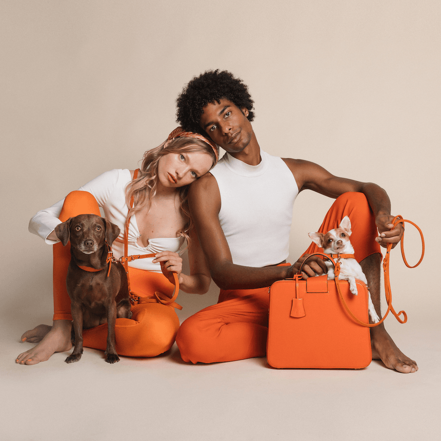 Molly & Stitch Hundelederhalsband MOLLY&STITCH "BUTTER" Lederhalsband - Mango