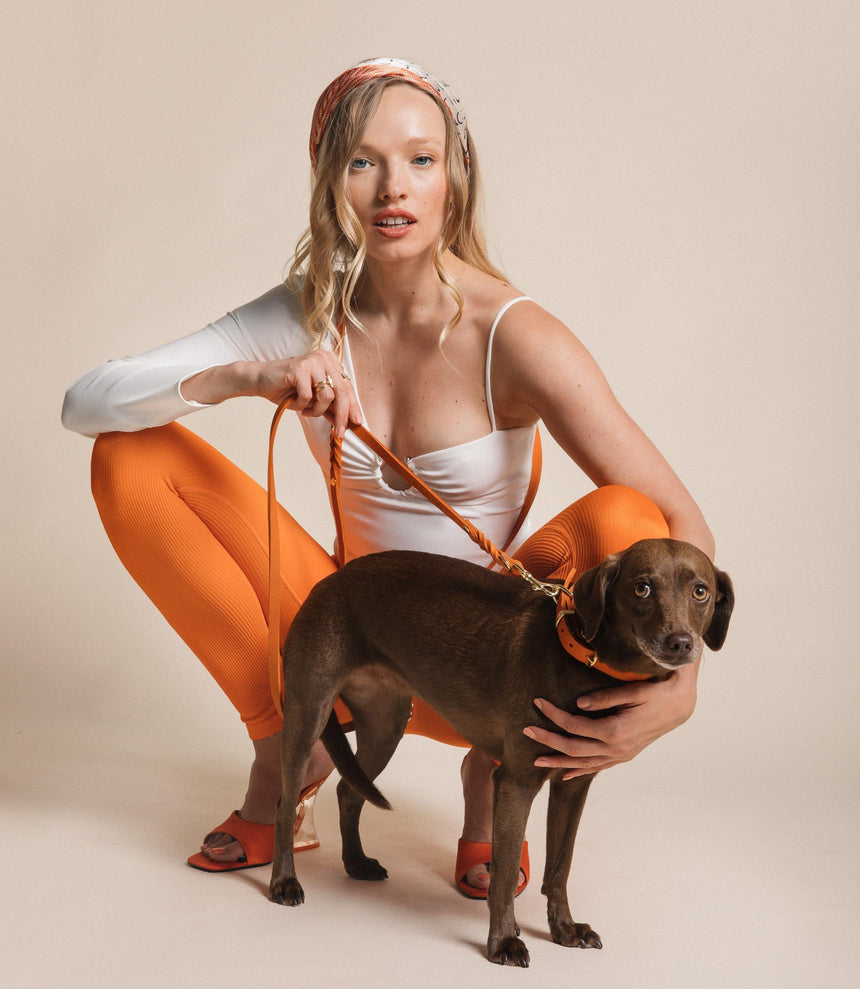 Molly & Stitch Hundelederhalsband MOLLY&STITCH "BUTTER" Lederhalsband - Mango