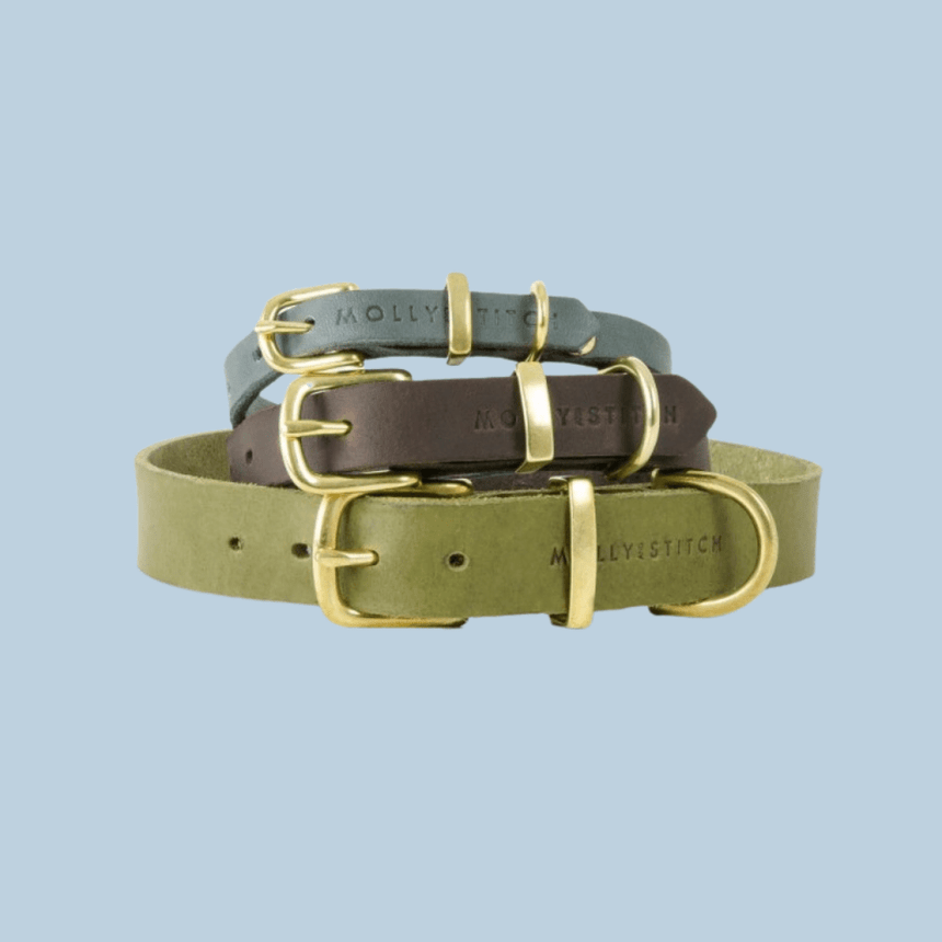 Molly & Stitch Hundelederhalsband MOLLY&STITCH "BUTTER" Lederhalsband - ZEITLOSES GRAU