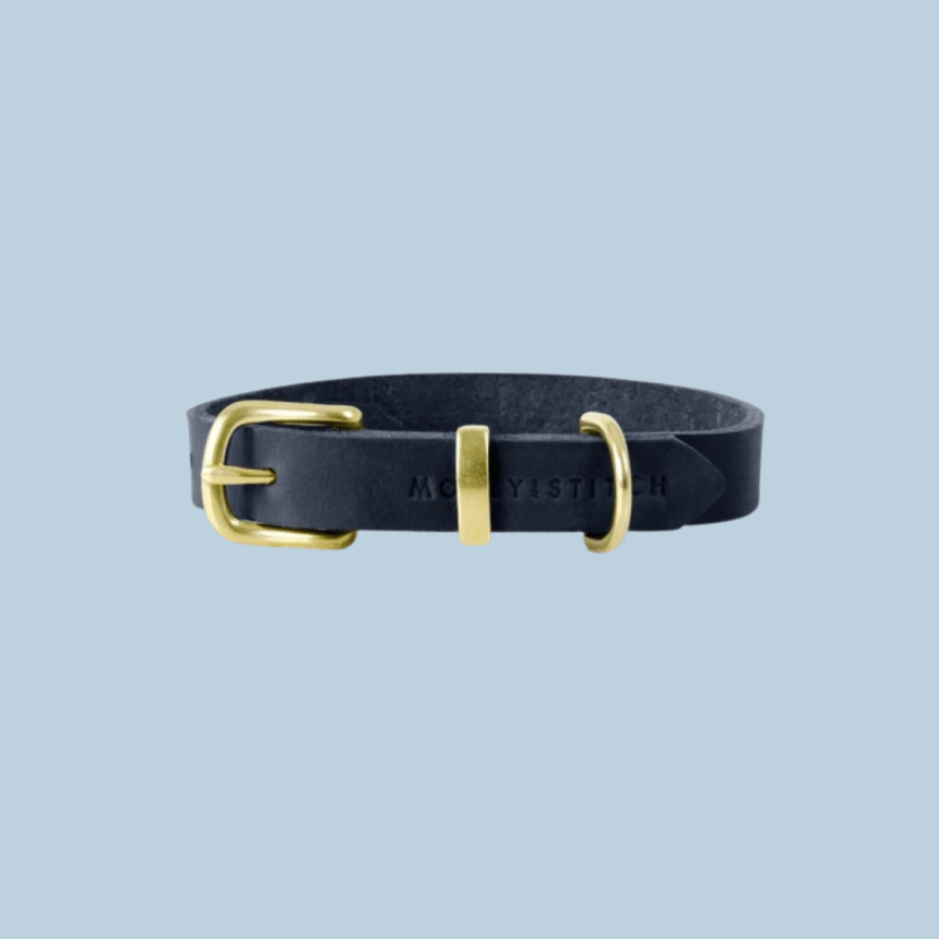 Molly & Stitch Hundelederhalsband XS | 24cm-28cm | 1,2cm Breite / Gold MOLLY&STITCH "BUTTER" Lederhalsband - NAVY BLAU