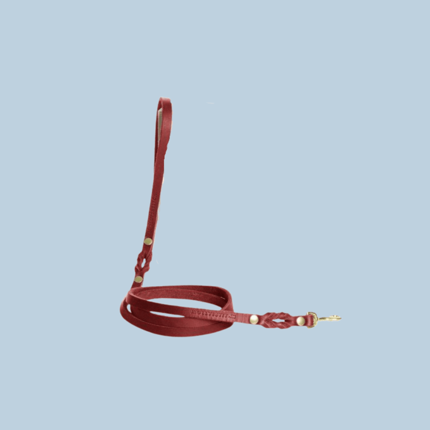 Molly & Stitch Hundelederleine S | Länge: 140 cm, Breite: 8 mm / Gold MOLLY&STITCH “BUTTER“ CITY HUNDELEINE - CHILI ROT