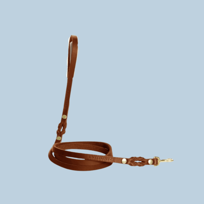 Molly & Stitch Hundelederleine S | Länge: 140 cm, Breite: 8 mm / Gold MOLLY&STITCH “BUTTER“ CITY HUNDELEINE - SAHARA COGNAC