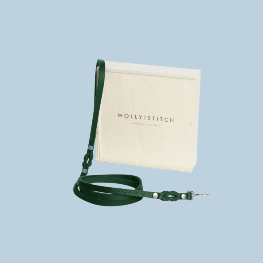 Molly & Stitch Hundelederleine S | Länge: 140 cm, Breite: 8 mm / Silber MOLLY&STITCH “BUTTER“ CITY HUNDELEINE - WALD GRÜN