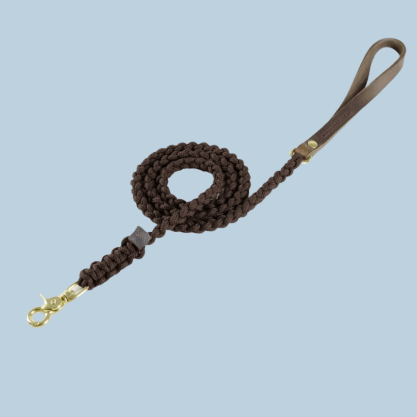 Molly & Stitch Hundeleine Tau S | Länge: 140 cm, Breite: 6 mm / Gold MOLLY&STITCH "TOUCH OF LEATHER" HUNDELEINE CHOCOLATE