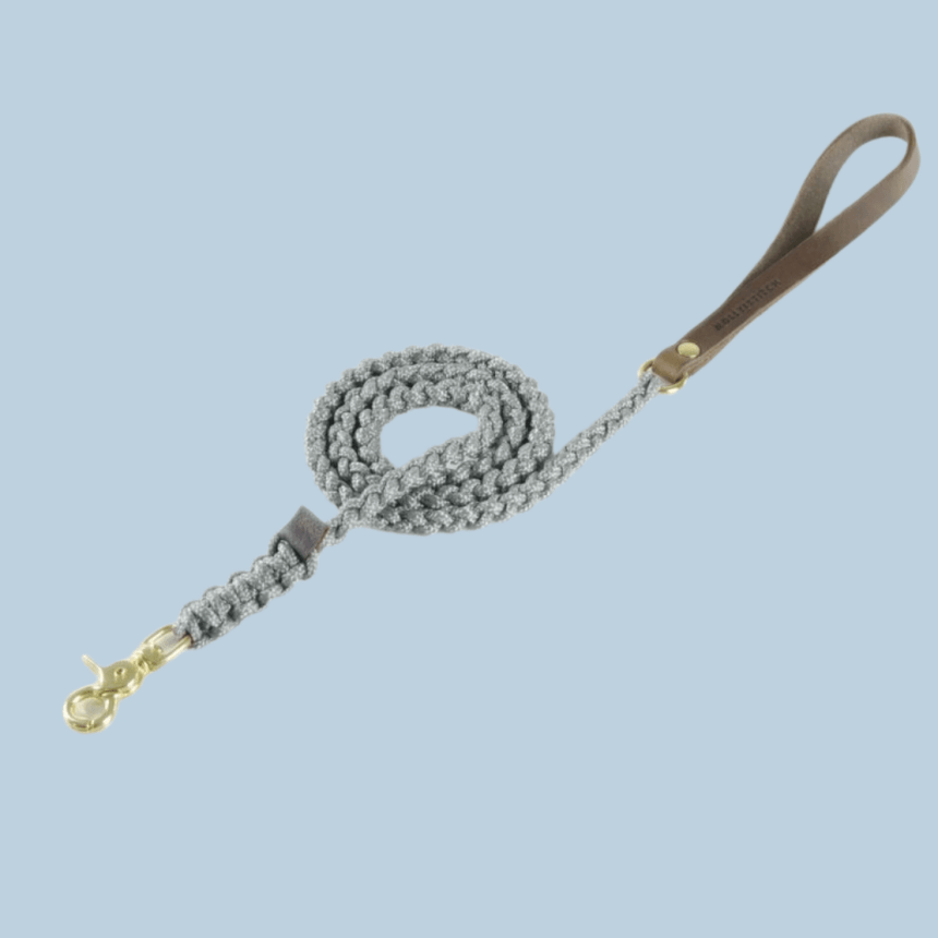 Molly & Stitch Hundeleine Tau S | Länge: 140 cm, Breite: 6 mm / Gold MOLLY&STITCH "TOUCH OF LEATHER" HUNDELEINE GREY
