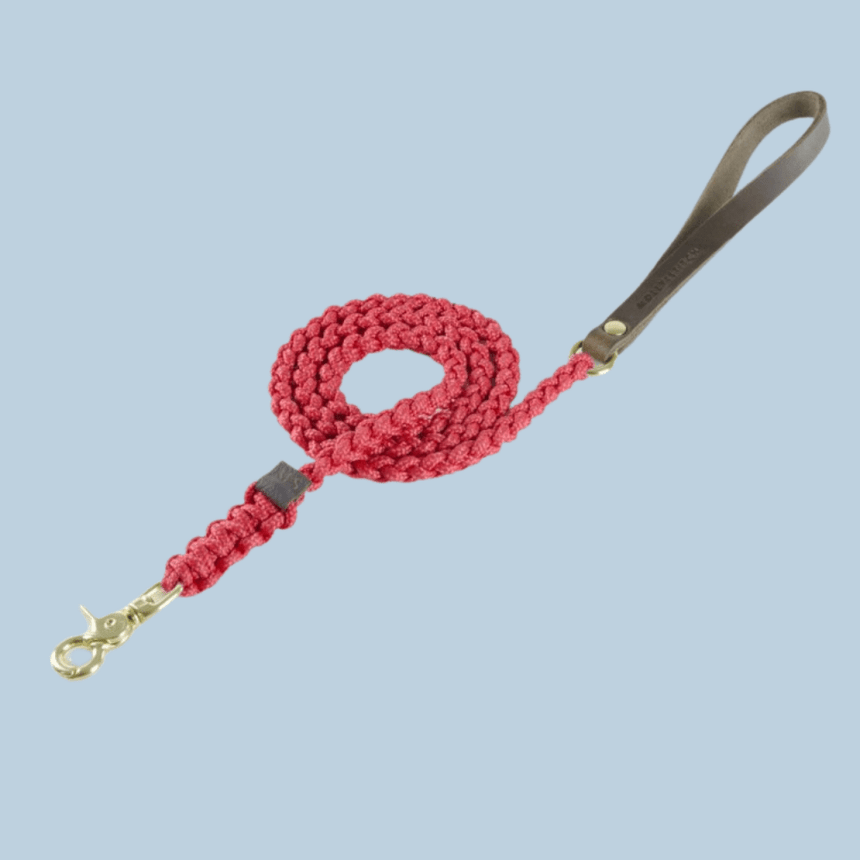 Molly & Stitch Hundeleine Tau S | Länge: 140 cm, Breite: 6 mm / Gold MOLLY&STITCH "TOUCH OF LEATHER" HUNDELEINE LIPSTICK