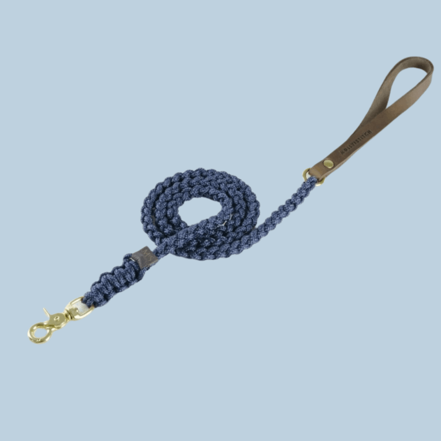 Molly & Stitch Hundeleine Tau S | Länge: 140 cm, Breite: 6 mm / Gold MOLLY&STITCH "TOUCH OF LEATHER" HUNDELEINE NAVY